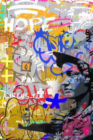 POK CIRCUS artiste urbain C.Catelain. Street Art Collection PLEXIGLASS